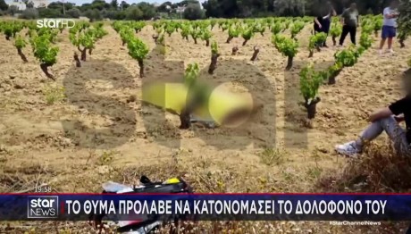 Ραφήνα: Το Σημείο Στο Οποίο Βρέθηκε Νεκρός Ο 41χρονος