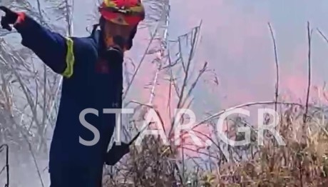 Φωτιά Τώρα Στο Μαρκόπουλο - Μεγάλη Κινητοποίηση