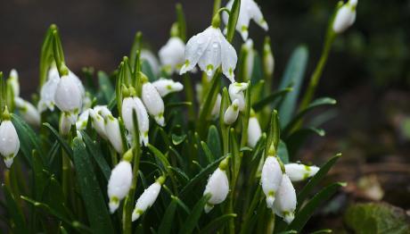 Εορτολόγιο 8 Ιουνίου: Ποιοι γιορτάζουν σήμερα
