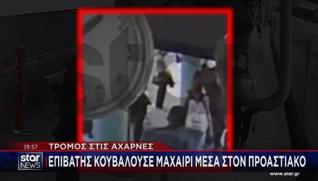 ΑΧΑΡΝΕΣ - ΜΑΧΑΙΡΙ