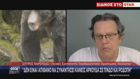 αρκούδα οδηγίες να την αποφύγετε