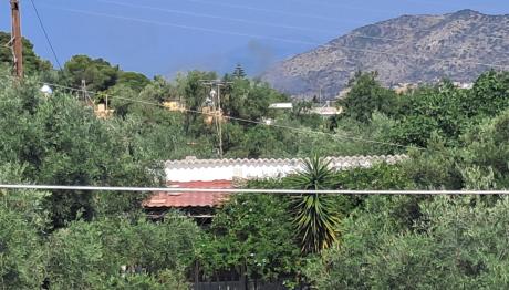 Οριοθετήθηκε Η Φωτιά Στη Σαλαμίνα