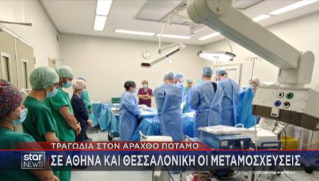 Άραχθος μεταμόσχευση