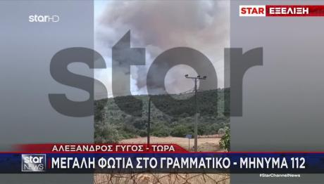 Φωτιά Τώρα Στον Μαραθώνα