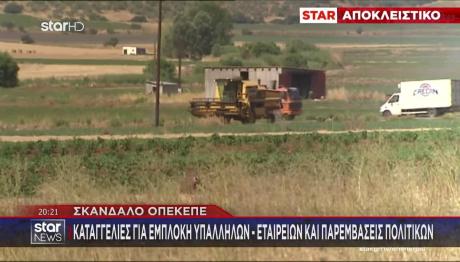 ΟΠΕΚΕΠΕ: Έπιασαν Ελιές & Αμυγδαλιές Στις Κορυφές