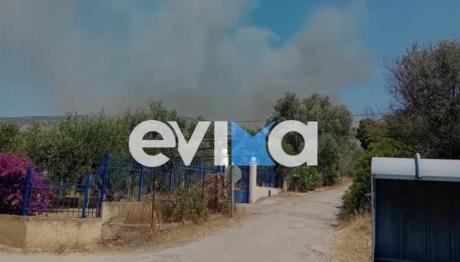 Φωτιά Τώρα Στην Ερέτρια