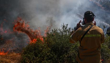 Φωτιά Τώρα Στον Μαραθώνα - Σε Δάσος Αγίας Μαρίνας
