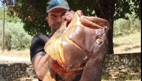 Βόλος: Έβγαλε Ροφό 72 Κιλών