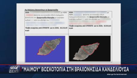 ΟΠΕΚΕΠΕ: «Μαϊμού» Bοσκοτόπια Στη Βραχονησίδα Κανδελιούσα