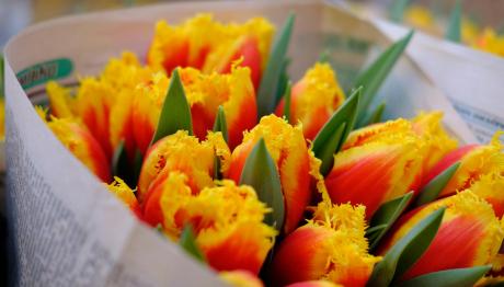 Εορτολόγιο 24 Ιουνίου: Ποιοι γιορτάζουν σήμερα