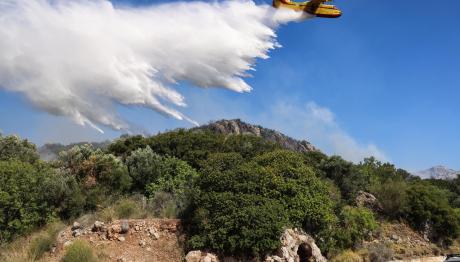 Φωτιά Τώρα Στη Μεσσηνία: Τρεις Εστίες Σε Λίγες Ώρες