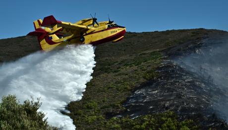 Φωτιά Τώρα Στους Δελφούς