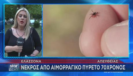 Star τσιμπούρι