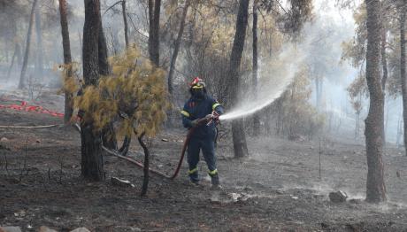 φωτιά πυροσβέστες