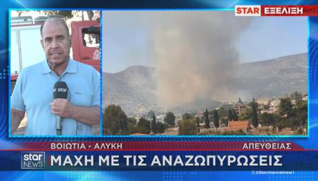 Βοιωτία: Φωτιά Στην Αλυκή