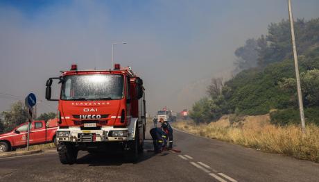 Φωτιά Στην Αλυκή Βοιωτίας