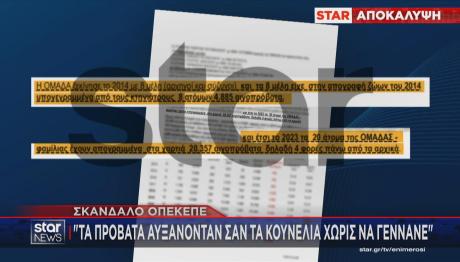 Καταγγελία τα πρόβατα αυξάνονταν σαν κουνέλια
