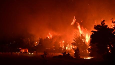 Φωτιά Τώρα Στον Ωρωπό: Μήνυμα 112 - Σηκώθηκαν Εναέρια Μέσα