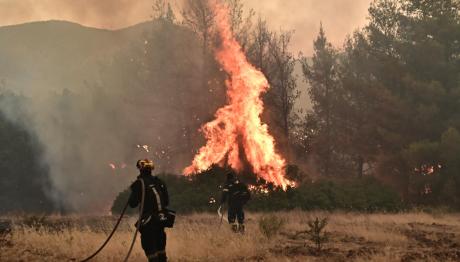 Φωτιά Ωρωπός: Σε Ύφεση Το Πύρινο Μέτωπο