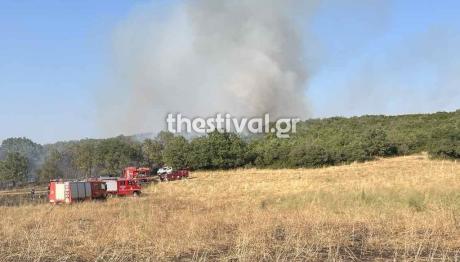 Φωτιά Στο Φίλυρο Θεσσαλονίκης - Ήχησε Το 112