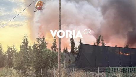 Θεσσαλονίκη: Φωτιά Σε Εργοστάσιο Ανακύκλωσης Στη Σίνδο