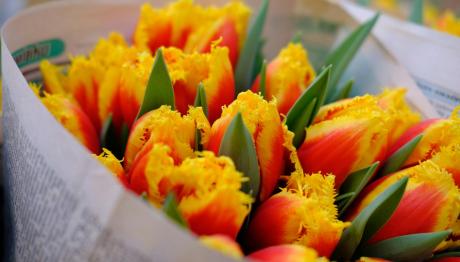 Εορτολόγιο 22 Ιουλίου: Ποιοι γιορτάζουν Σήμερα