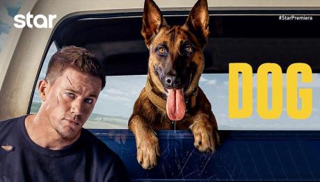 DOG: Απόψε Στο Star Σε Α' Προβολή