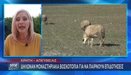 ΟΠΕΚΕΠΕ εμπλοκή μονής