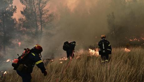 Φωτιά Τώρα Στη Ροδόπη - Σηκώθηκαν Εναέρια Μέσα