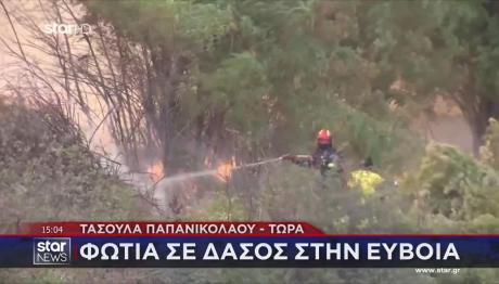 Μεγάλη Φωτιά Στην Εύβοια: Καίγεται Δάσος - Μήνυμα Του 112