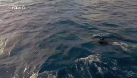 Route 360: Οι Xαριτωμένοι Συνοδοιπόροι Του Ατλαντικού