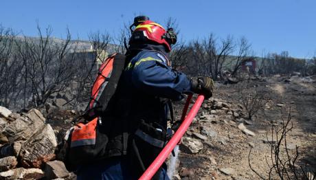 Φωτιά Δεσκάτη Γρεβενών: Εκκενώθηκε Καταφύγιο Με 55 Παιδιά