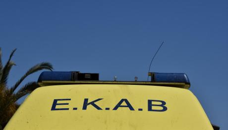 Ηλεία: Τσίμπημα Σφήκας... Προκάλεσε Έμφραγμα