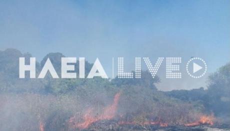 Φωτιά τώρα στα Λεχαινά Ηλείας - Επιχειρούν και εναέρια μέσα