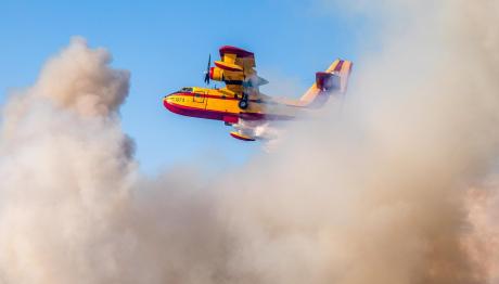Φωτιά Τώρα Στη Γλυκή Θεσπρωτίας