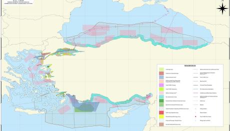 Συρίγος για θαλάσσια πάρκα