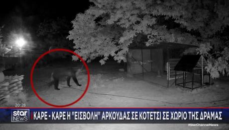 ΑΡΚΟΥΔΑ – ΚΟΤΕΤΣΙ - ΔΡΑΜΑ