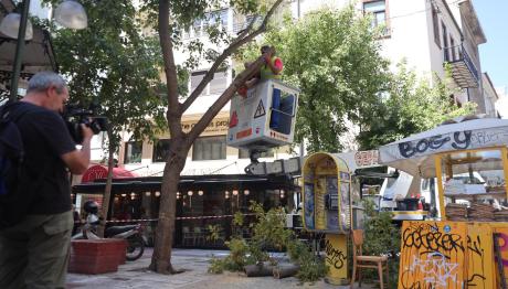 Ερμού: Έπεσε Δέντρο Από Τους Θυελλώδεις Ανέμους