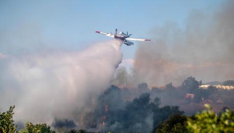 Φωτιά Τώρα Στον Πρόδρομο Βοιωτίας