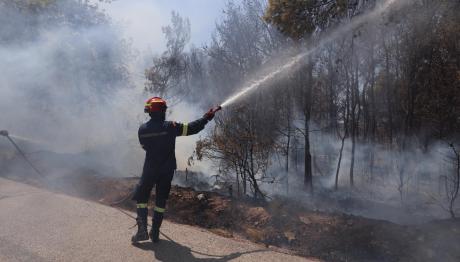 Φωτιά στην Πρέβεζα: Απομακρύνονται ηλικιωμένοι - Κάηκαν σπίτια