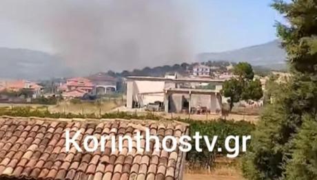 Φωτιά τώρα στην Αρχαία Νεμέα Κορινθίας- Μήνυμα 112 για προληπτική εκκένωση