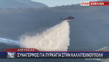 Φωτιά Στην Καλλιτεχνούπολη