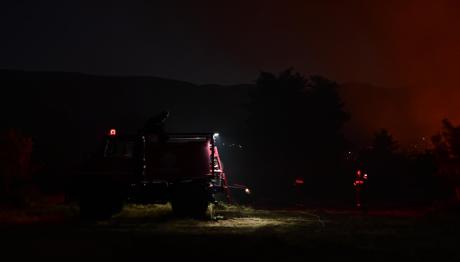 Φωτιά τώρα στη Μεγάλη Βόλβη Θεσσαλονίκης