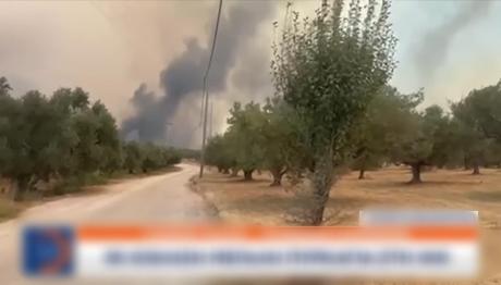 Μεγάλο Το Πύρινο Μέτωπο Στα Χάλανδρα Χίου