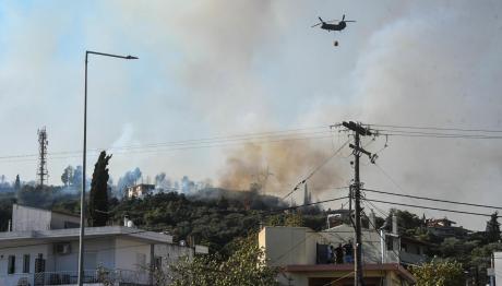 Φωτιά Τώρα Σε Αχαΐα, Πρέβεζα, Ιωάννινα, Ζάκυνθο, Χίο, Μέγαρα