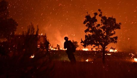 Φωτιά Στη Χίο