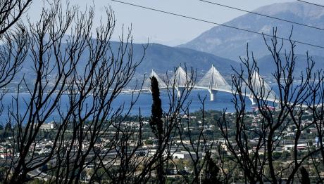 Φωτιά Πάτρα: Μάχη Με Διάσπαρτες Εστίες -Σύλληψη Για Εμπρησμό