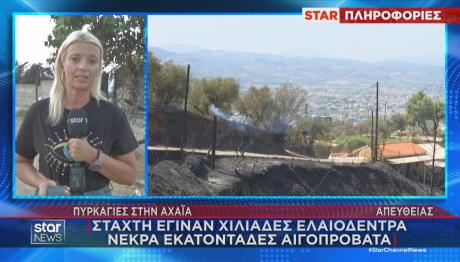 Φωτιές - Αχαΐα