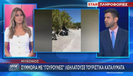 Μύκονος - Συμμορία Με «Γουρούνες»