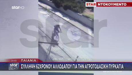Φωτιά Παιανία: Συνελήφθη 62χρονος - Βίντεο Ντοκουμέντο